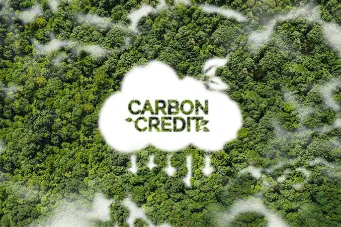 Jute Carbon Credits - 2025-26 - Phase 1