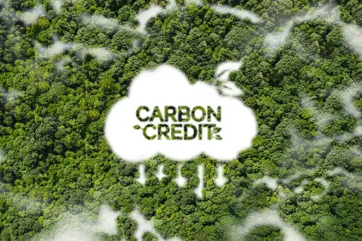 Jute Carbon Credits - 2025-26 - Phase 3
